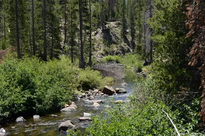 DSC_3665 (Large).JPG